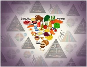 &Tau;&iota; &lambda;έ&nu;&epsilon; &omicron;&iota; &epsilon;&iota;&delta;&iota;&kappa;&omicron;ί &delta;&iota;&alpha;&tau;&rho;&omicron;&phi;ή&sigmaf; &gamma;&iota;&alpha; &tau;&iota;&sigmaf; &nu;έ&epsilon;&sigmaf; &delta;&iota;&alpha;&tau;&rho;&omicron;&phi;&iota;&kappa;έ&sigmaf; &omicron;&delta;&eta;&gamma;ί&epsilon;&sigmaf; &gamma;&iota;&alpha; &tau;&omicron;&upsilon;&sigmaf; &Alpha;&mu;&epsilon;&rho;&iota;&kappa;&alpha;&nu;&omicron;ύ&sigmaf;