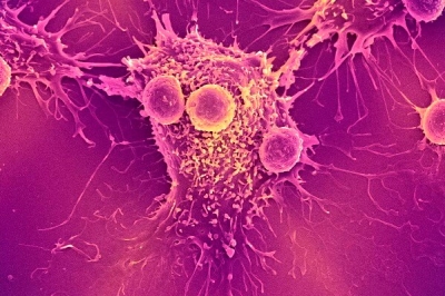 23 &Omicron;&kappa;&tau;&omega;&beta;&rho;ί&omicron;&upsilon; 2025, &pi;ώ&sigmaf; &tau;&alpha; mRNA &epsilon;&mu;&beta;ό&lambda;&iota;&alpha; &gamma;&iota;&alpha; &tau;&omicron;&nu; &kappa;&omicron;&rho;&omega;&nu;&omicron;ϊό &beta;&omicron;ή&theta;&eta;&sigma;&alpha;&nu; &kappa;&alpha;&rho;&kappa;&iota;&nu;&omicron;&pi;&alpha;&theta;&epsilon;ί&sigmaf; &nu;&alpha; &zeta;ή&sigma;&omicron;&upsilon;&nu; &Pi;&Epsilon;&Rho;&Iota;&Sigma;&Sigma;&Omicron;&Tau;&Epsilon;&Rho;&Omicron;