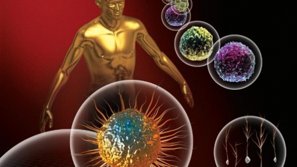 ΜΟΝΟΚΛΩΝΙΚΟ ΑΝΤΙΣΩΜΑ ΕΝΑΝΤΙ ΤΟΥ ΑΝΑΠΝΕΥΣΤΙΚΟΥ ΣΥΓΚΥΤΙΑΚΟΥ ΙΟΥ (RSV) 2025